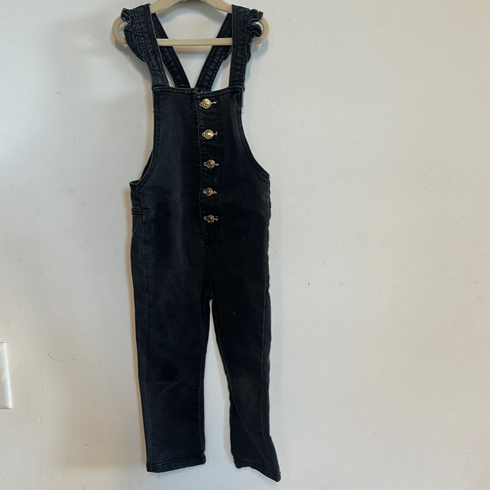 7 for all men kind overalls